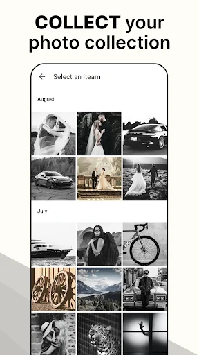 Photo collection gallery displaying edited black and white photos organized by date