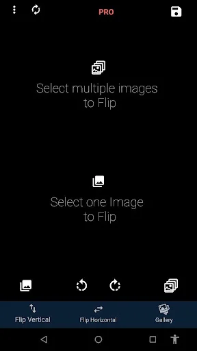 Flip Image home screen: options to select multiple or single image to flip, flip vertical/horizontal buttons, gallery tool