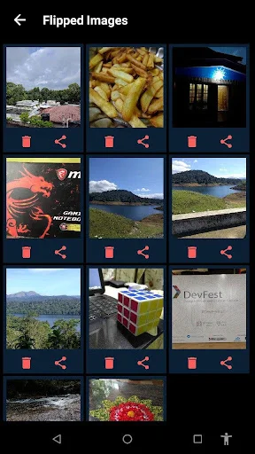 Flipped Images gallery view showing edited photos in grid layout with delete and share buttons for each image