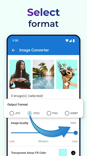 Select output format screen with JPG JPEG PNG WEBP options and image quality slider for conversion settings
