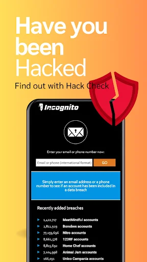 Hack Check: Incognito privacy tool scanning email addresses for data breaches, password leaks, and compromised account detection