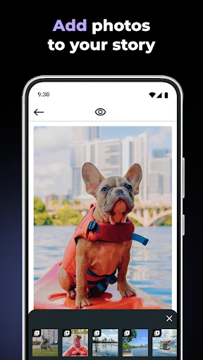 Add photos to story feature in Instory video editor showing French bulldog image with photo carousel