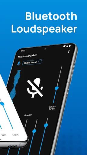 Bluetooth Loudspeaker app showing microphone mute toggle and multi-band audio equalizer controls