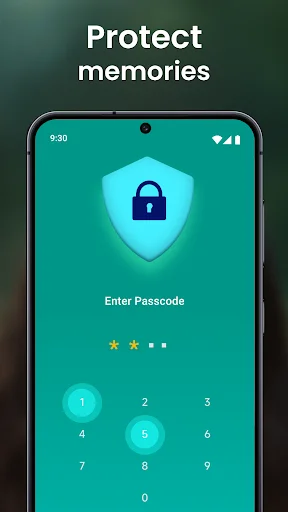 Password protection screen with security shield and numeric keypad for vault access control