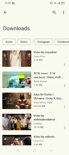 Downloads screen displaying saved videos from Facebook and Instagram with Audio, Video filters and file size information