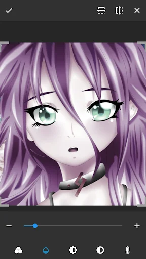 Image adjustment panel with editing filters and effects tools in Drawing Pad Lite artbook app